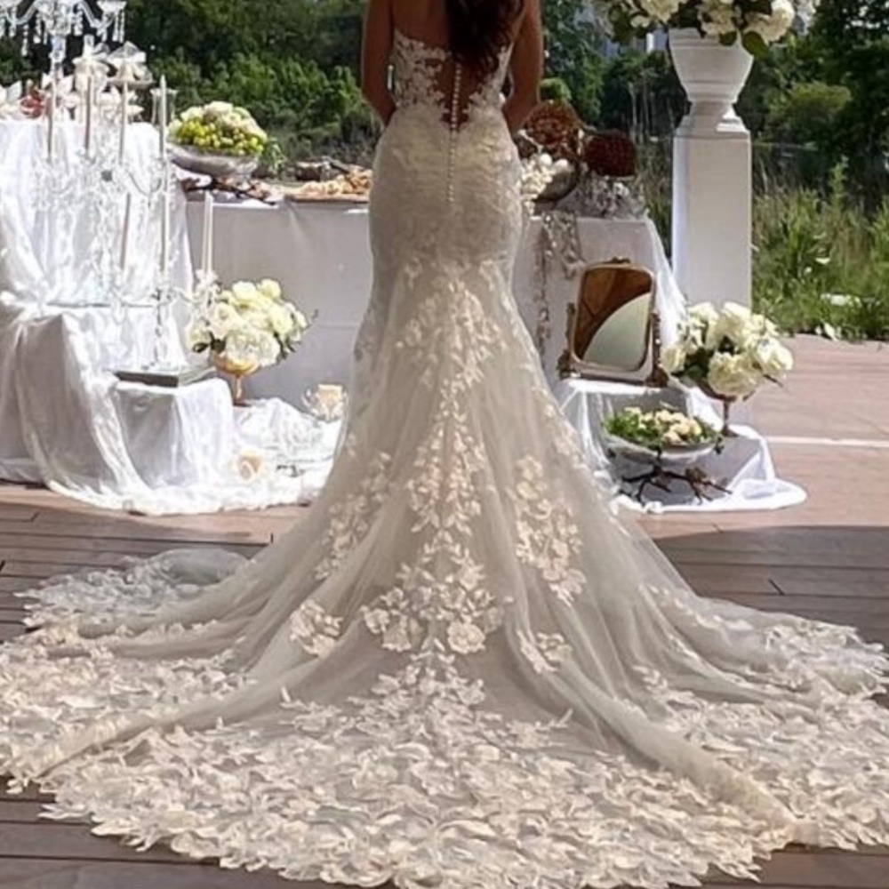 Martina Liana wedding dress and cathedral veil